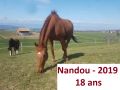 Nandou