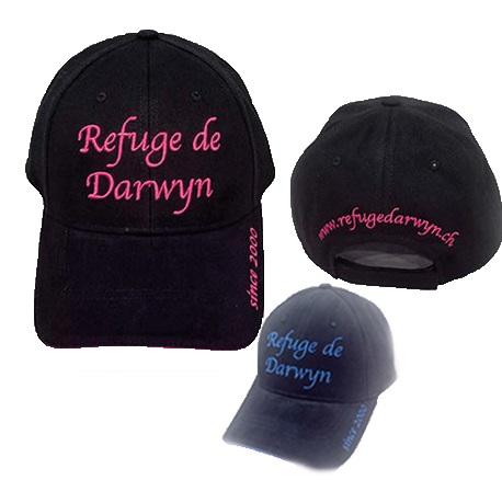 Casquette