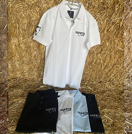 Polo homme